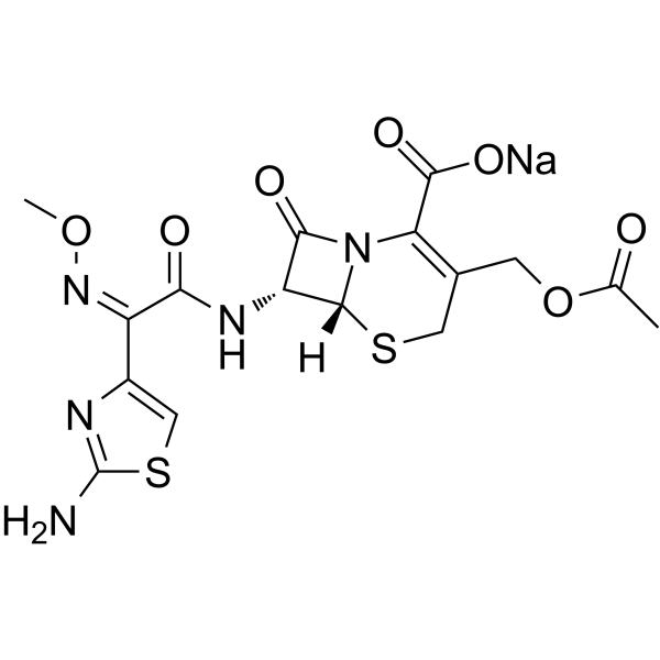 Cefotaxime Sodium 64485-93-4
